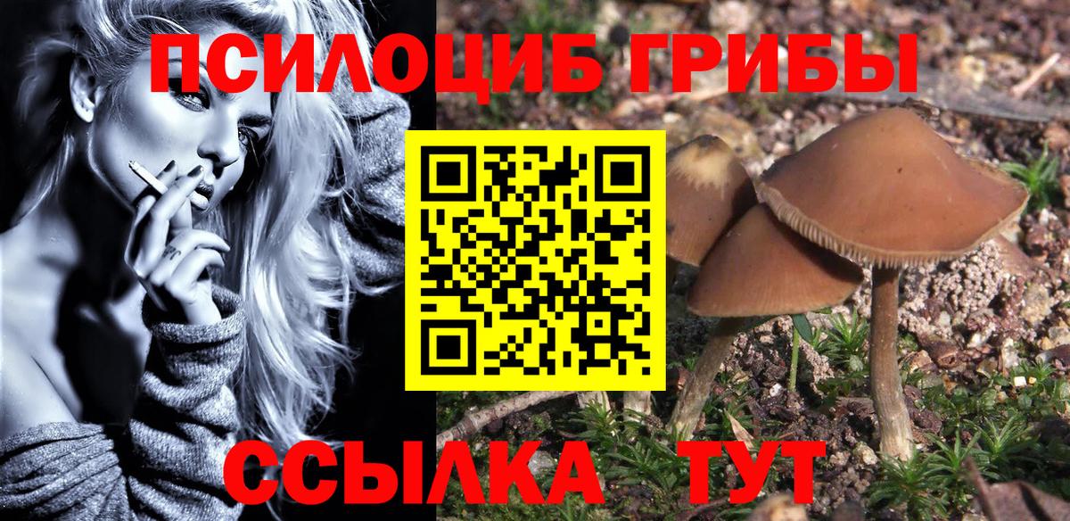 Оренбург  Псилоцибиновые грибы Magic Shrooms  Вход с VPN 